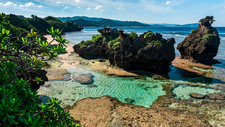 На популярных островах Таиланда и Японии введут ограничения для туристов