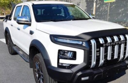 Китайский JAC рассекретил обновленнные пикапы Hunter