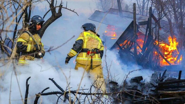 В МЧС России предлагают сделать собственника ответственным за любой пожар на его земле