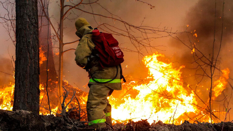 В России за сутки потушили 85 лесных пожаров
