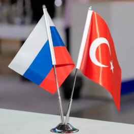 Россия и Турция обсудили ситуацию вокруг Украины и обстановку в Черноморском бассейне