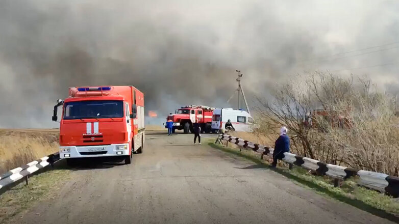 Площадь пожара в Курганской области выросла до 6000 квадратных метров