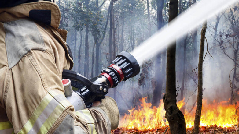 В 10 регионах РФ ввели особый противопожарный режим