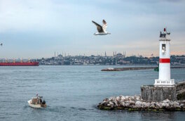 У берегов Стамбула столкнулись 2 танкера