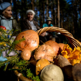 Минет За Деньги Г.находка