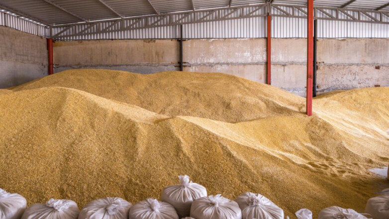 Власти Словакии вновь вернутся к обсуждению импорта зерна Украины