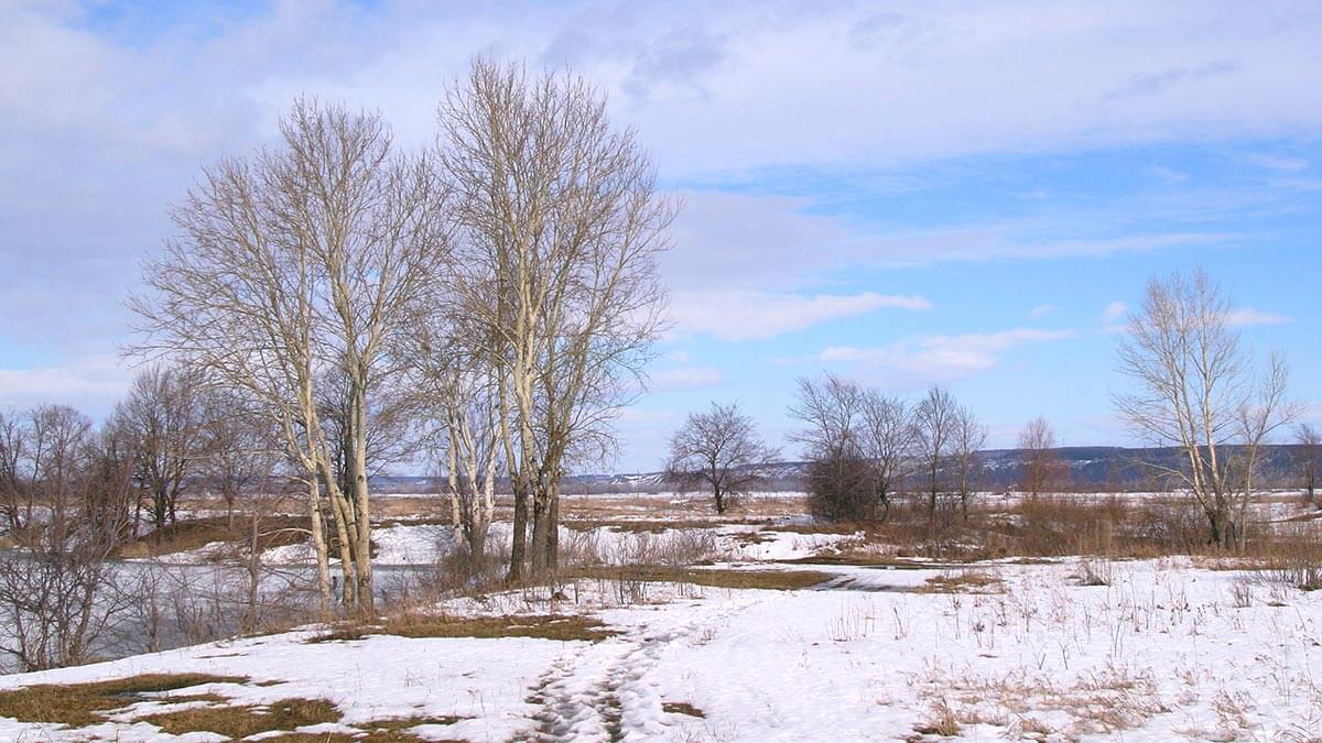 В ряд центральных регионов Европейской России вернулся снежный покров