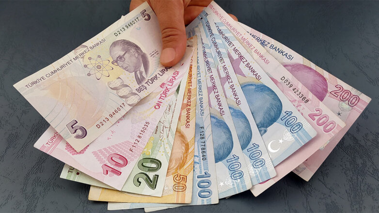 В Турции призывают выпустить новые банкноты из-за высокой инфляции