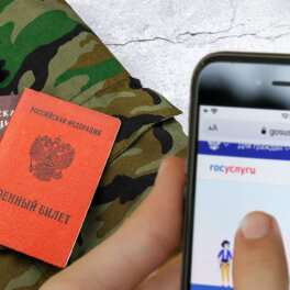 Заявления на IT-отсрочку от армии можно будет подать через "Госуслуги" с 22 июля