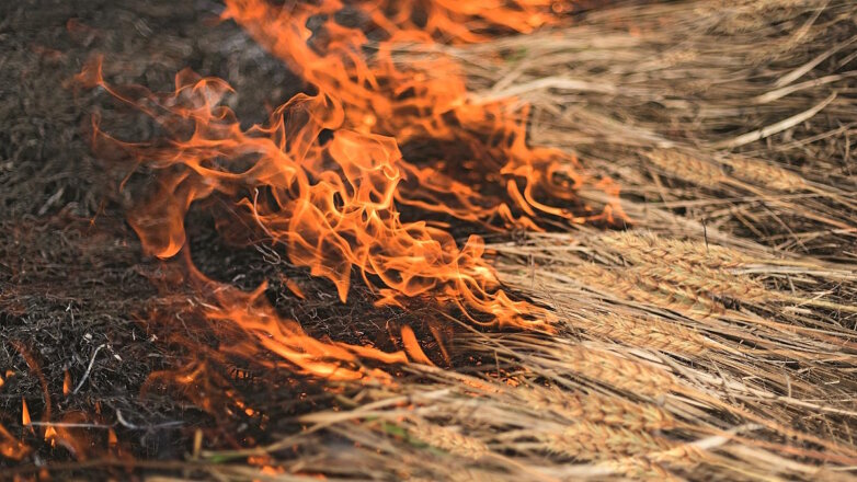 Пожарные потушили возгорание сухой травы около МКАД