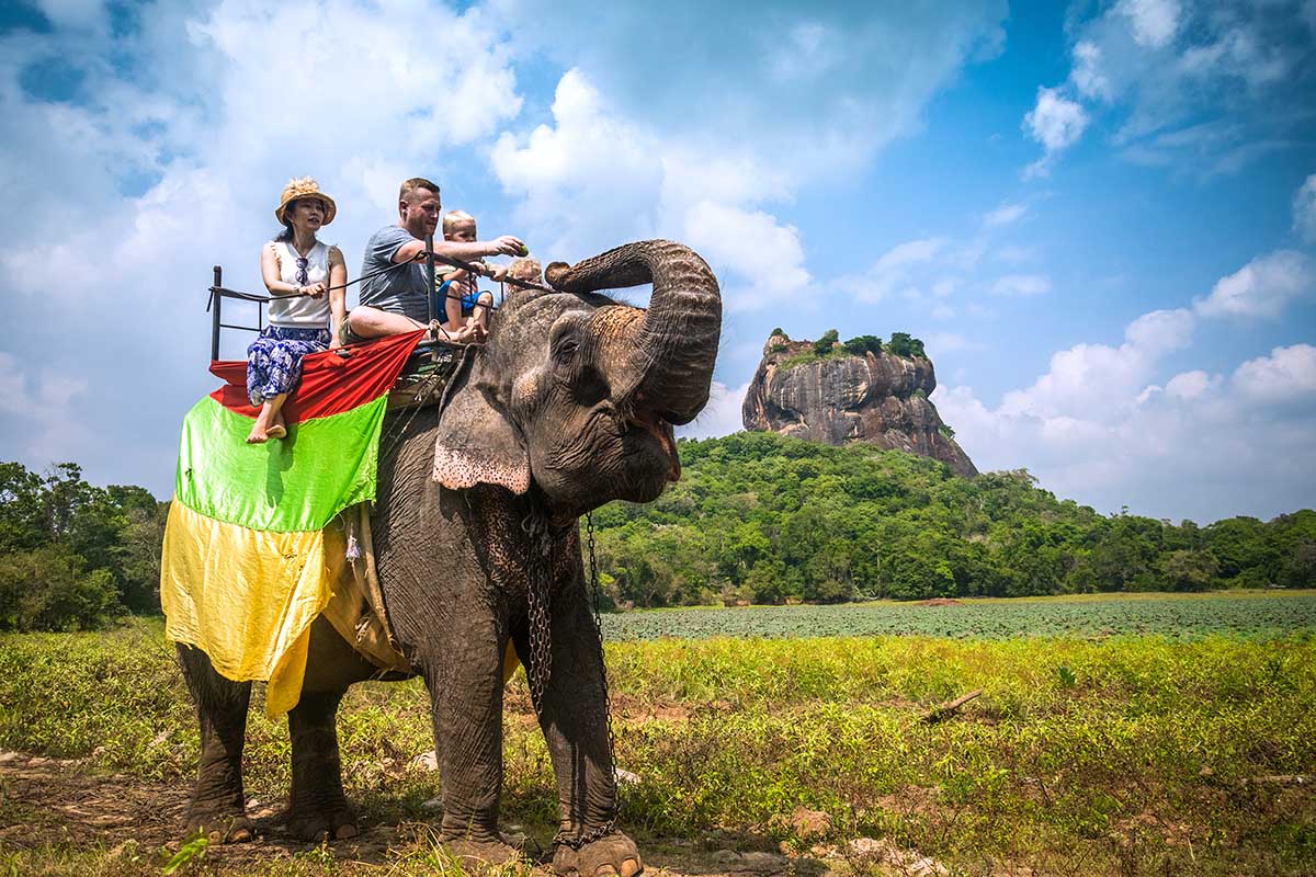 Туристы катаются верхом на слоне на острове Шри-Ланка