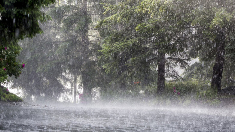 Жителей Кубани предупредили о ливнях с грозами, граде и сильном ветре