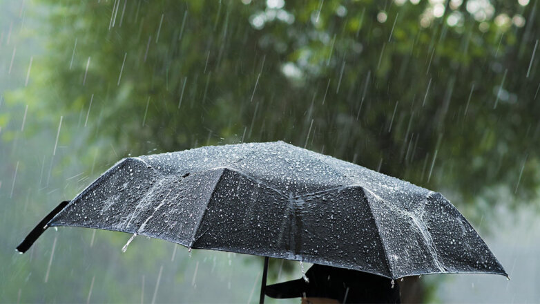 Новосибирцев предупредили о дожде и северном ветре в пятницу