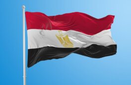 Египет на фоне ударов по Ходейде призвал не допустить хаос на Ближнем Востоке