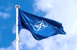 Западные эксперты по внешней политике призвали НАТО не приглашать Украину
