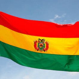 Попытка переворота в Боливии: реакция мировых лидеров, ЕС и США