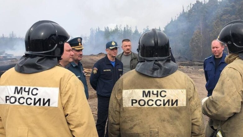 За последние сутки в России потушили 79 лесных пожаров