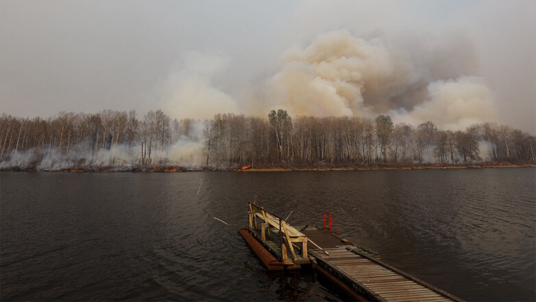 Площадь природных пожаров в Тюменской области за сутки сократилась почти на 4000 гектаров