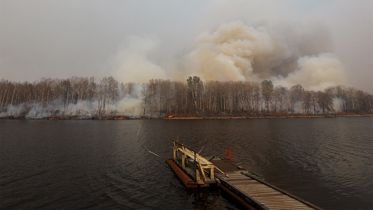 Площадь природных пожаров в Тюменской области за сутки сократилась почти на 4 тысячи гектар