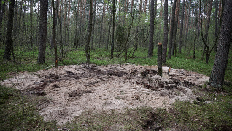 Минобороны Польши: найденная под Быдгощем ракета попала туда случайно