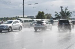 В Москве выпало почти четверть месячной нормы осадков
