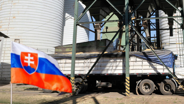 СМИ: Словакия смягчила запрет на импорт сельскохозяйственных товаров с Украины