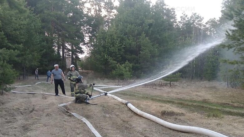 Площадь природных пожаров в Свердловской области сократилась в 2 раза