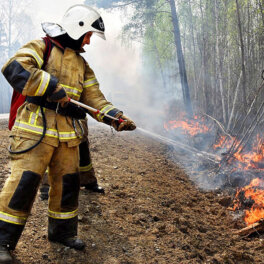 Под Новороссийском остановили распространение лесного пожара