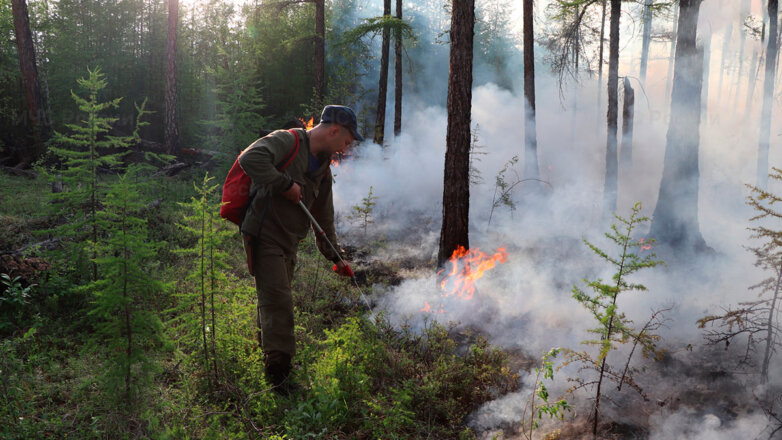 В России за сутки потушили 107 лесных пожаров