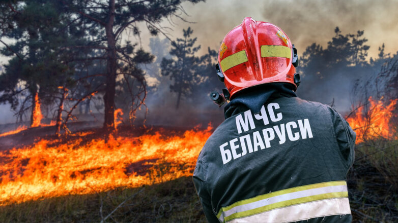 В Белоруссии за сутки потушили 15 природных пожаров