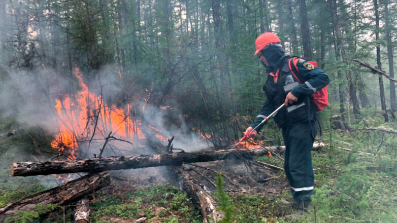 В России за сутки потушили 77 лесных пожаров