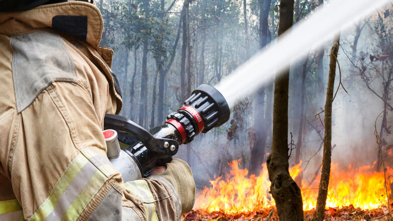 Площадь лесных пожаров в Свердловской области составила больше 33 тысяч гектаров