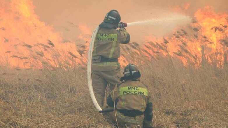 В Курганской области жителей 2 деревень эвакуируют из-за пожара