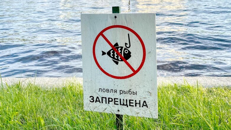Россияне за год заплатили более 28 миллионов штрафов за незаконную рыбалку