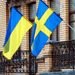 Швеция заявила о праве Киева на самозащиту, говоря о возможности ударов по территории РФ западным оружием