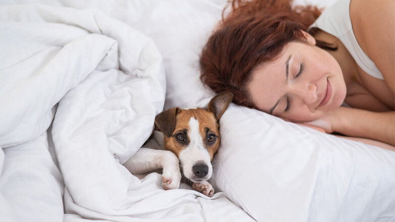 Ветеринар рассказала, почему собакам опасно спать под одеялом