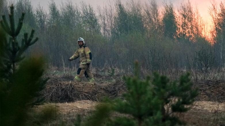 В России за сутки потушили 104 лесных пожара
