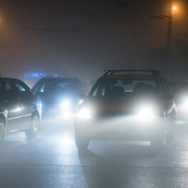 "Желтый" уровень опасности: в Москве ожидается густой туман