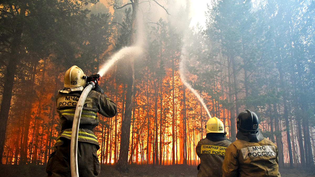 Лесопожарные службы за сутки потушили в РФ 112 природных пожаров