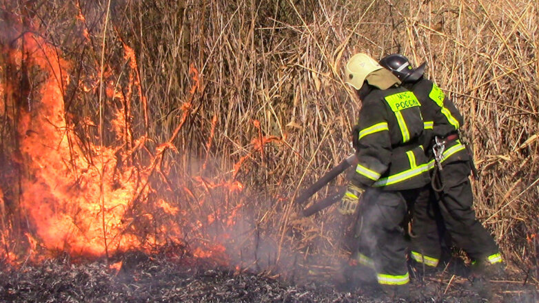 В России за сутки потушили 62 лесных пожара