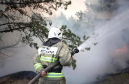 Еще в 2 населенных пунктах Курганской области начали эвакуацию из-за угрозы задымления