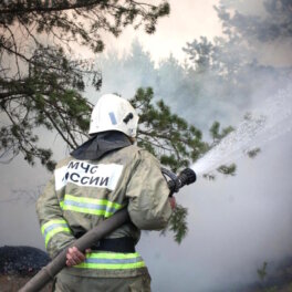 В Ростовской области с начала суток вспыхнули более 50 пожаров