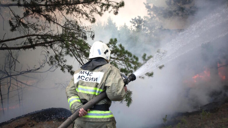 В Новосибирской области эвакуировали жителей деревни из-за ландшафтного пожара