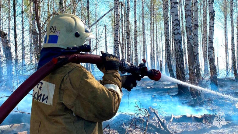 В МЧС заявили о стабилизации обстановки с пожарами в Свердловской области