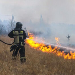 В Курганской области сняли угрозу от природных пожаров 2 населенным пунктам