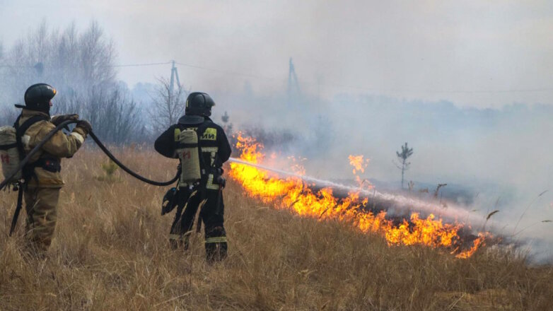В Курганской области сняли угрозу от природных пожаров 2 населенным пунктам
