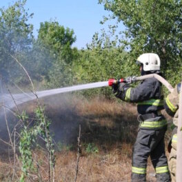 Лесной пожар в районе хутора Дюрсо на Кубани охватил 20 гектаров