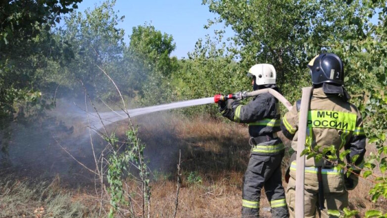 Жителей ряда районов Кузбасса предупредили о высоком риске лесных пожаров