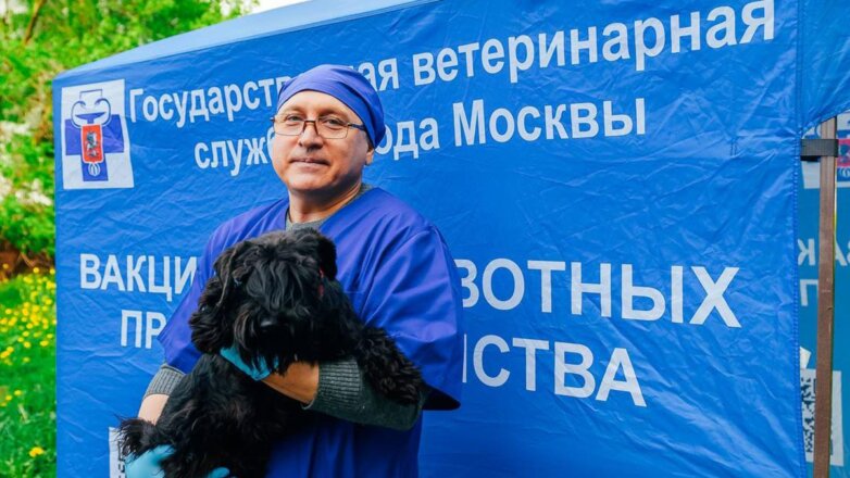 Более 120 пунктов вакцинации собак заработают в Москве на площадках для выгула