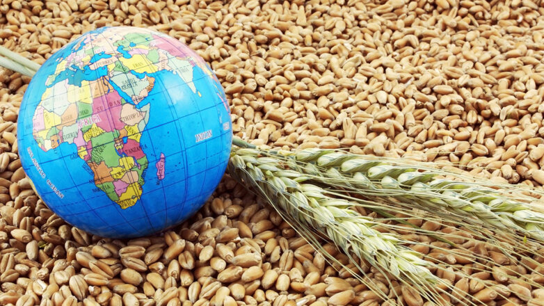 Минсельхоз РФ: прорабатывается переход на расчеты в нацвалютах при экспорте зерна